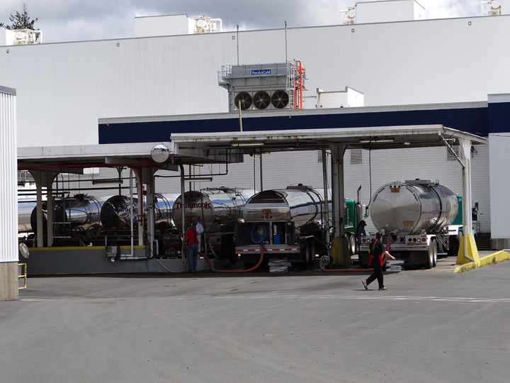 Reflections From the Fence Tillamook Cheese Factory, a "Gotta Do It